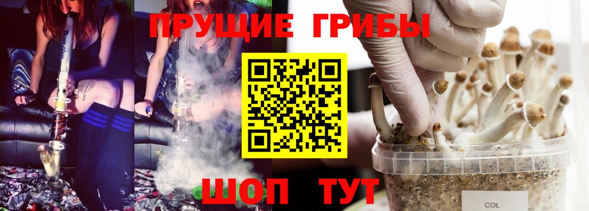 Георгиевск  Псилоцибиновые грибы прущие грибы  Галлюциногенные грибы Psilocybe  Вход с VPN 